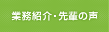 業務紹介・先輩の声